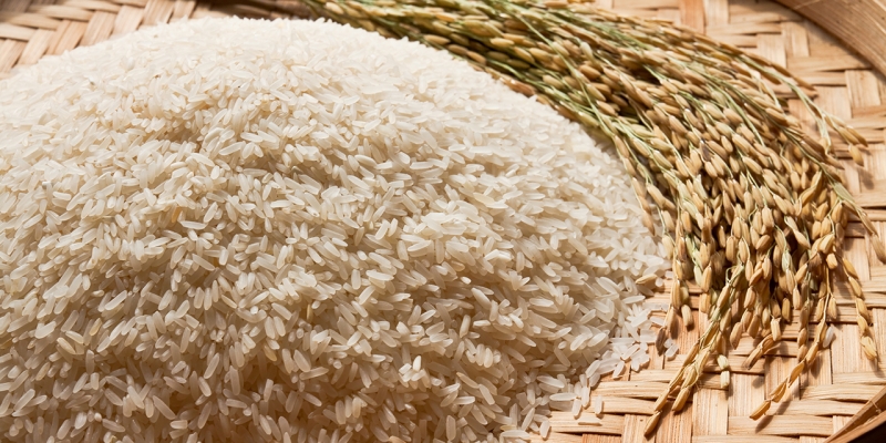 Zakat Fitrah | YDSF