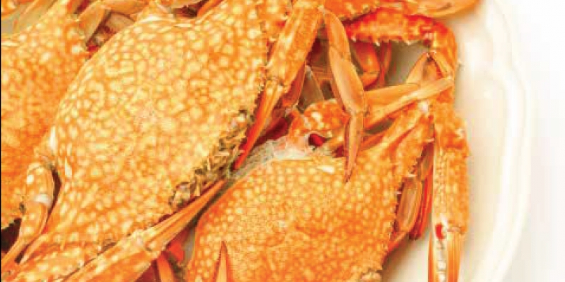 Ini Penjelasan Hukum Makan Kepiting, Halalkah? | YDSF