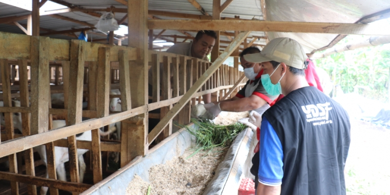 Pastikan Bebas PMK, YDSF Gandeng Dinas Pertanian Nganjuk dalam Pemeriksaan Hewan Qurban