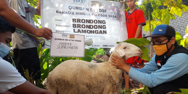 Benefit Premium Qurban di YDSF