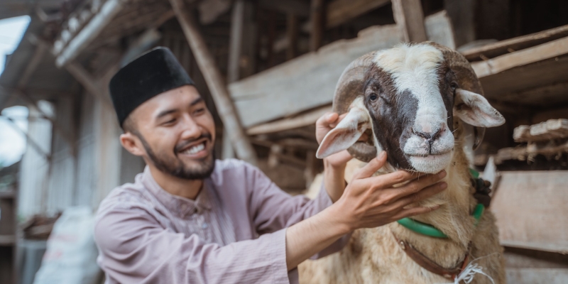 Bolehkah Berqurban Bila Belum Aqiqah? | YDSF